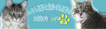 header-2.jpg