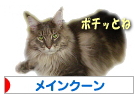 rai-banner01.jpg