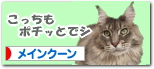 rai-banner02.jpg